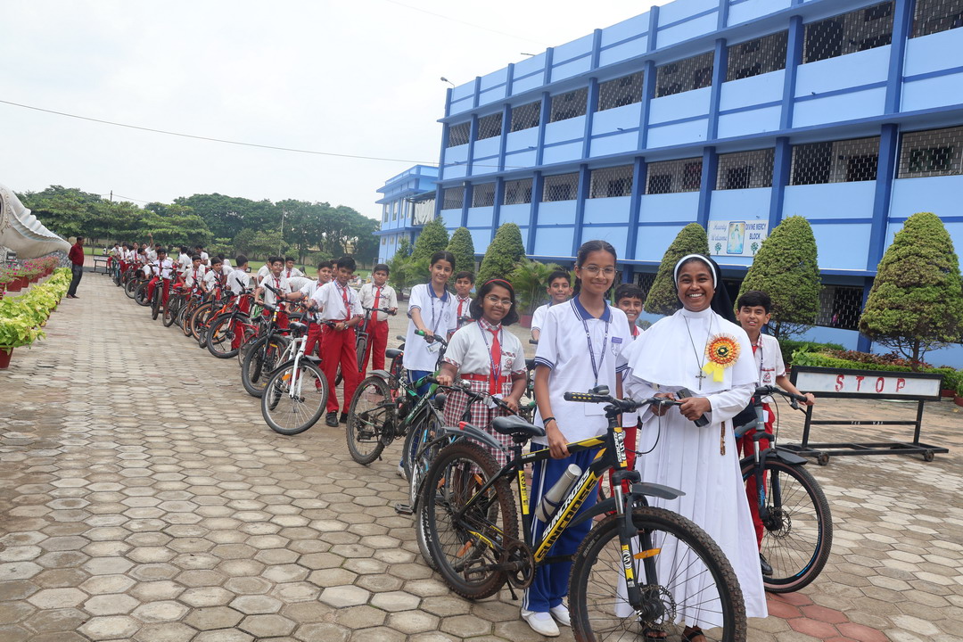 Cycle Rally